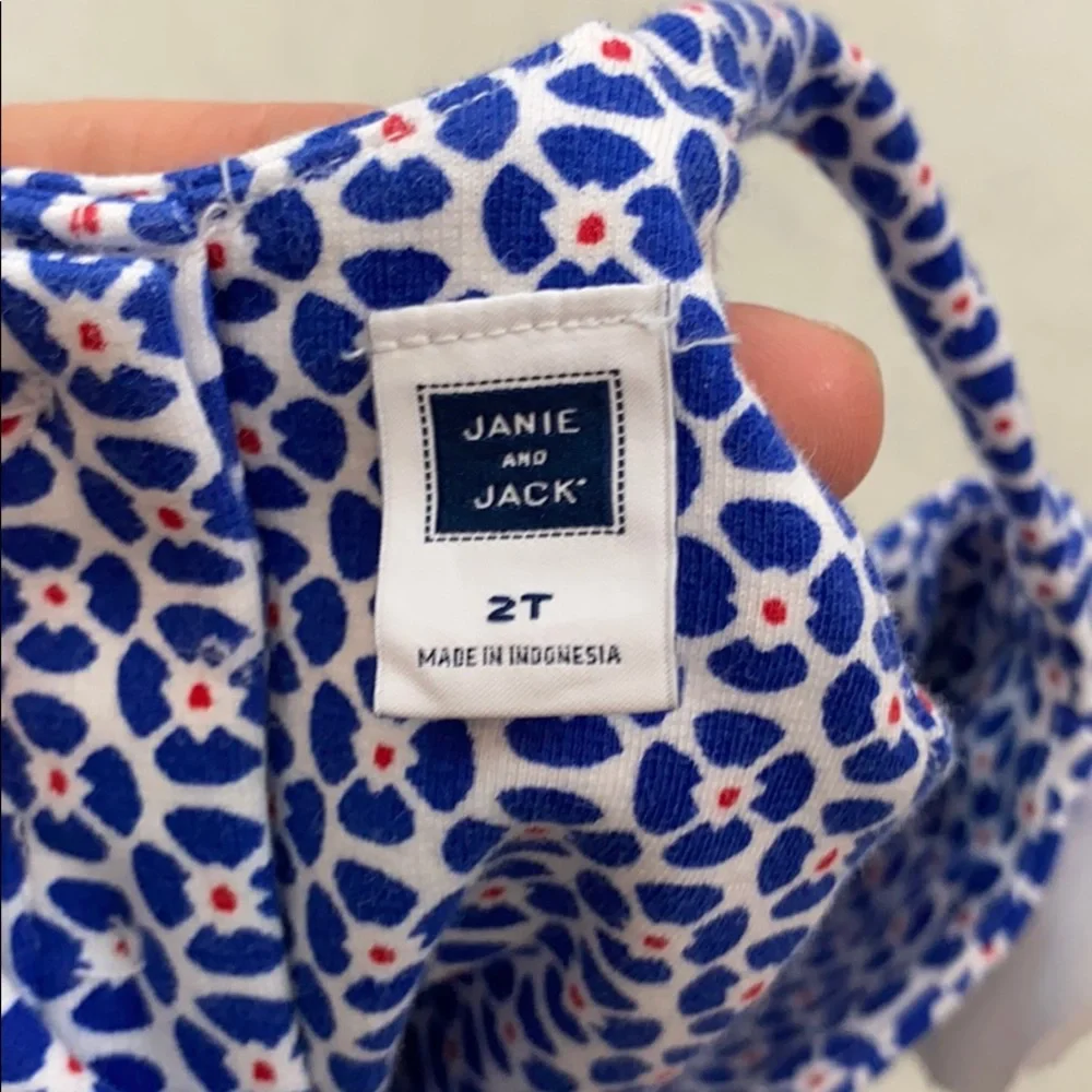 Janie and Jack drop waist dress